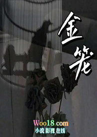 金笼快餐价格详情